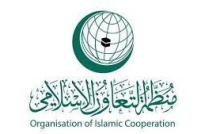 منظمة التعاون الإسلامي تعزي العراق في ضحايا حريق مستشفى ابن الخطيب ببغداد
