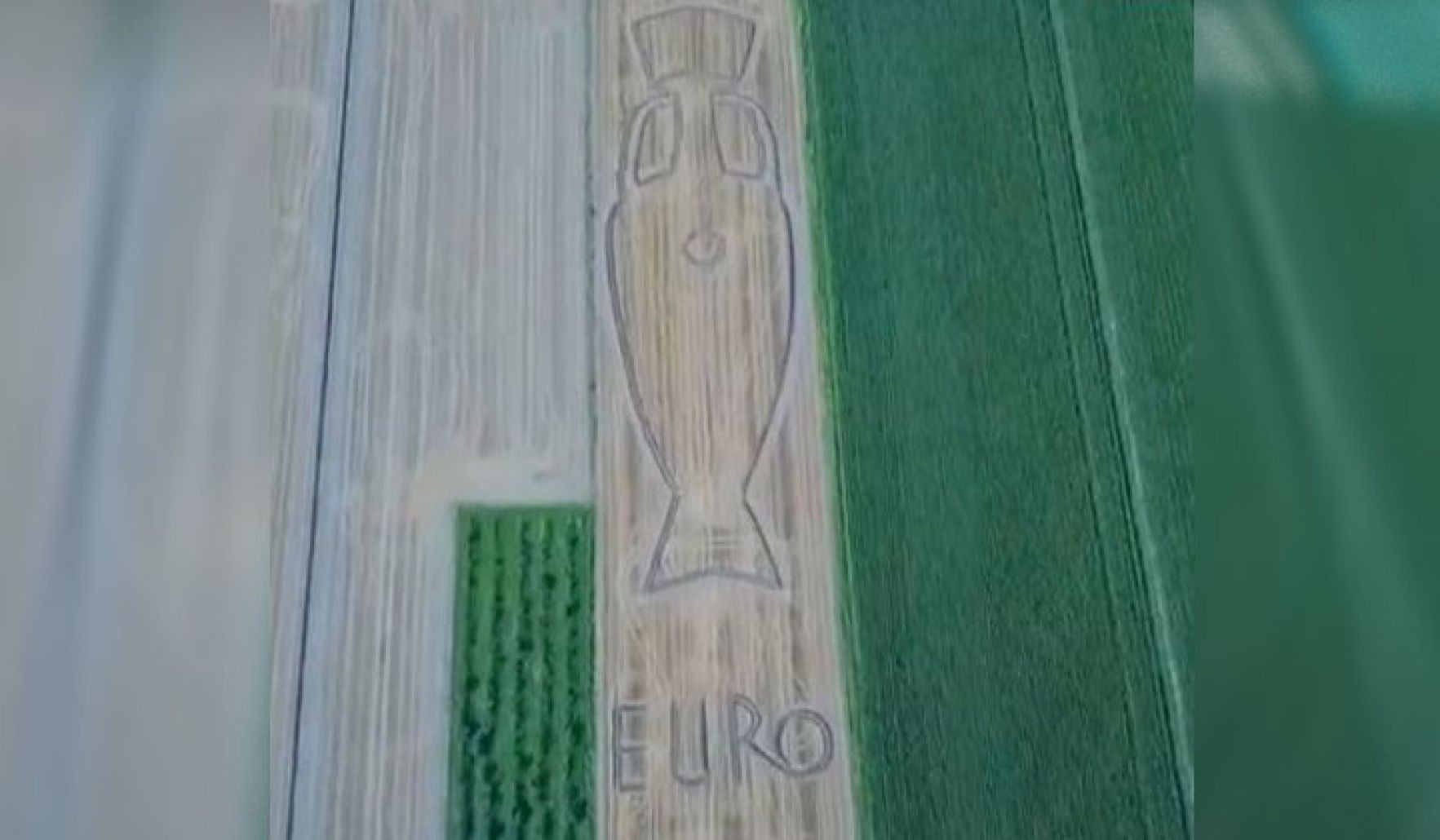 مزارع إيطالي يحتفل بفوز بلاده بكأس الأمم الأوروبية بطريقته الخاصة