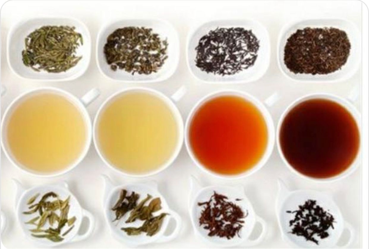 انطلاق معرض ” ألوان الشاي الدولي” 