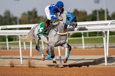 نادي سباقات الخيل ينظم حفله الرابع لموسم سباقات الطائف 2023‪