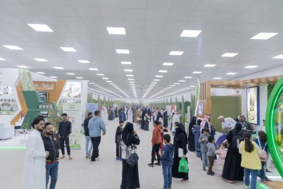 مبيعات مهرجان زيتون الجوف الدولي تصل حاجز الـ 3 مليون