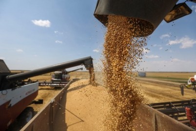 المفوضية الأوروبية: رفع القيود على واردات الحبوب الأوكرانية من 5 دول